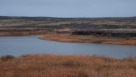 American Prairie Montana Bison Live Cam - Apr 3, 2026, 12:36pm MDT