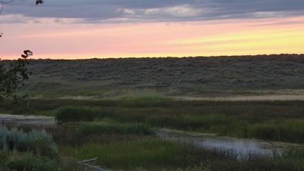 American Prairie Montana Bison Live Cam - Jul 20, 2025, 9:05pm MDT