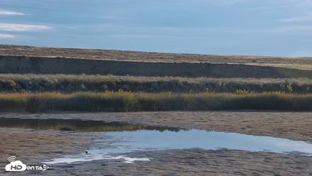 American Prairie Montana Bison Live Cam - Sep 30, 2026, 8:03am MDT