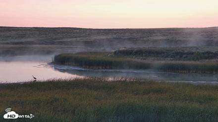 American Prairie Montana Bison Live Cam - Sep 13, 2026, 6:46am MDT