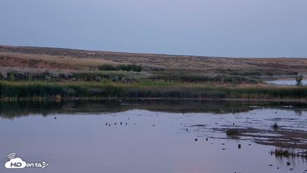 American Prairie Montana Bison Live Cam - Aug 17, 2026, 8:00pm MDT