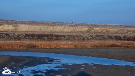 American Prairie Montana Bison Live Cam - Oct 28, 2026, 5:02pm MDT