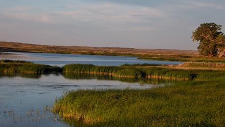 American Prairie Montana Bison Live Cam - Jul 13, 2025, 8:41pm MDT