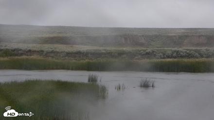 American Prairie Montana Bison Live Cam - Jul 7, 2026, 5:50am MDT