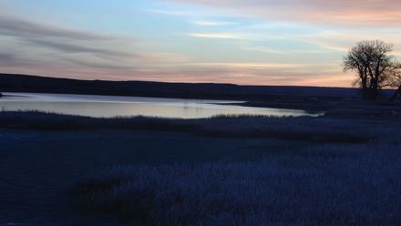 American Prairie Montana Bison Live Cam - Nov 3, 2025, 6:56am MST