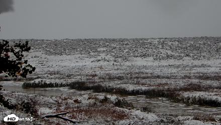 American Prairie Montana Bison Live Cam - Oct 12, 2026, 9:06am MDT