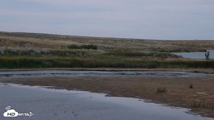 American Prairie Montana Bison Live Cam - Sep 1, 2026, 5:13pm MDT