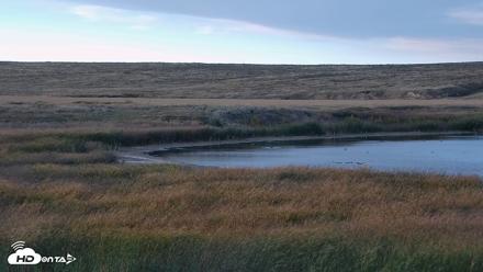 American Prairie Montana Bison Live Cam - Sep 26, 2026, 6:15pm MDT