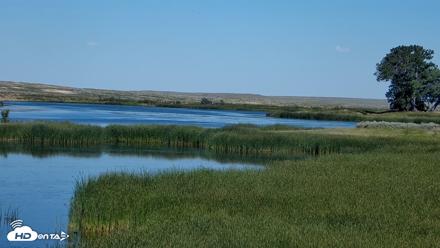 American Prairie Montana Bison Live Cam - Jul 10, 2026, 4:20pm MDT