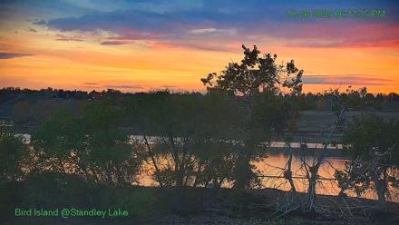 Bird Island Standley Lake Live Webcam - Oct 26, 2025, 6:12pm MDT