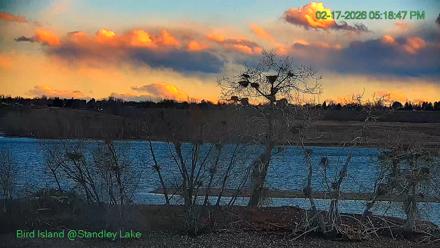 Bird Island Standley Lake Live Webcam - Feb 17, 2026, 5:18pm MST