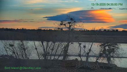 Bird Island Standley Lake Live Webcam - Dec 18, 2025, 4:35pm MST