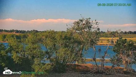 Bird Island Standley Lake Live Webcam - Jun 9, 2026, 7:33am MDT
