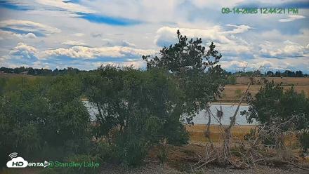 Bird Island Standley Lake Live Webcam - Sep 14, 2026, 12:44pm MDT