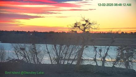 Bird Island Standley Lake Live Webcam - Dec 2, 2025, 6:48am MST