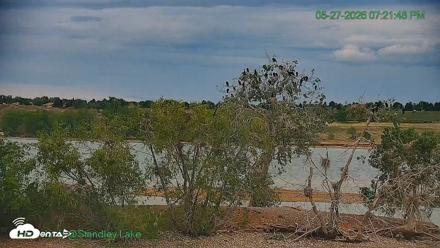 Bird Island Standley Lake Live Webcam - May 27, 2026, 7:21pm MDT