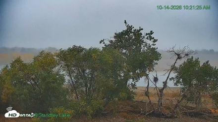 Bird Island Standley Lake Live Webcam - Oct 14, 2026, 10:21am MDT