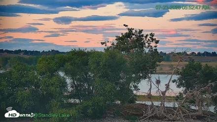 Bird Island Standley Lake Live Webcam - Jul 23, 2026, 5:53am MDT
