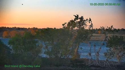Bird Island Standley Lake Live Webcam - Oct 20, 2025, 6:59am MDT