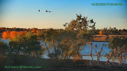 Bird Island Standley Lake Live Webcam - Oct 22, 2025, 7:50am MDT