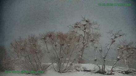 Bird Island Standley Lake Live Webcam - Dec 3, 2025, 7:08am MST