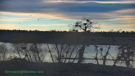 Bird Island Standley Lake Live Webcam - Nov 12, 2025, 7:20am MST