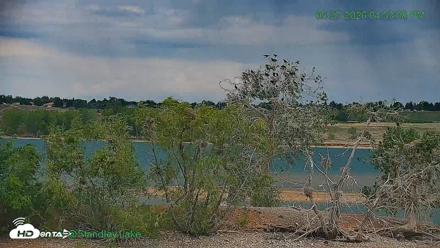 Bird Island Standley Lake Live Webcam - May 27, 2026, 4:52pm MDT