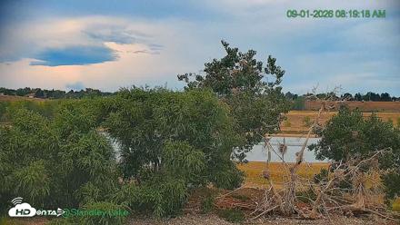 Bird Island Standley Lake Live Webcam - Sep 1, 2026, 8:20am MDT