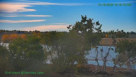 Bird Island Standley Lake Live Webcam - Oct 19, 2025, 10:19am MDT