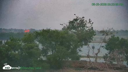 Bird Island Standley Lake Live Webcam - Jun 25, 2026, 5:24am MDT