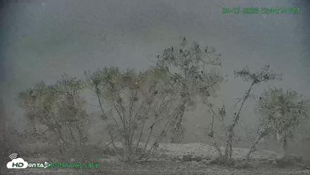 Bird Island Standley Lake Live Webcam - Apr 17, 2026, 12:44pm MDT