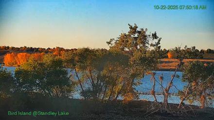 Bird Island Standley Lake Live Webcam - Oct 22, 2025, 7:50am MDT