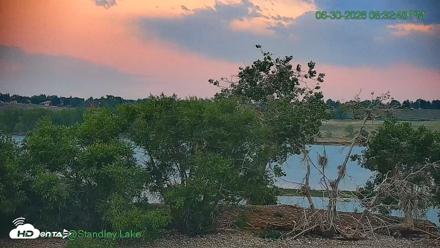Bird Island Standley Lake Live Webcam - Jun 30, 2026, 8:33pm MDT
