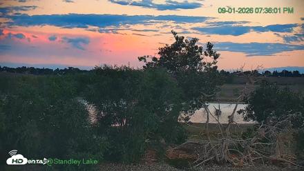 Bird Island Standley Lake Live Webcam - Sep 1, 2026, 7:36pm MDT