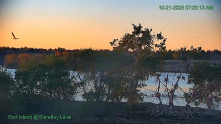 Bird Island Standley Lake Live Webcam - Oct 21, 2025, 7:20am MDT
