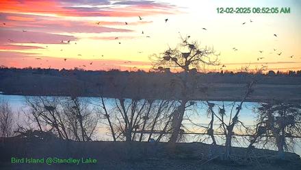 Bird Island Standley Lake Live Webcam - Dec 2, 2025, 6:52am MST