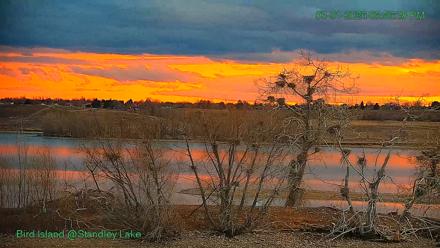 Bird Island Standley Lake Live Webcam - Mar 1, 2026, 5:57pm MST