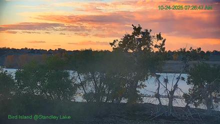 Bird Island Standley Lake Live Webcam - Oct 24, 2025, 7:26am MDT