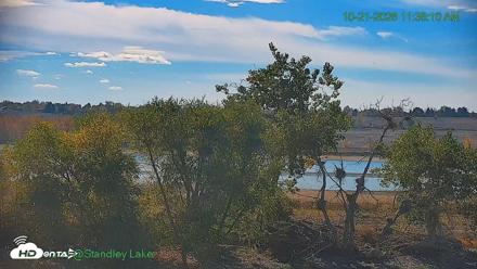 Bird Island Standley Lake Live Webcam - Oct 21, 2026, 11:38am MDT