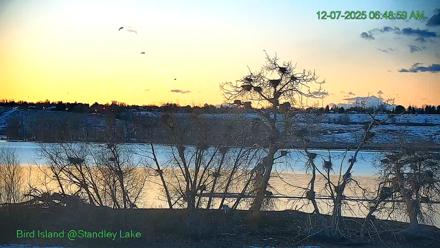 Bird Island Standley Lake Live Webcam - Dec 7, 2025, 6:49am MST