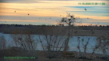 Bird Island Standley Lake Live Webcam - Nov 15, 2025, 7:26am MST