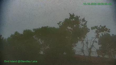 Bird Island Standley Lake Live Webcam - Oct 15, 2025, 8:08am MDT