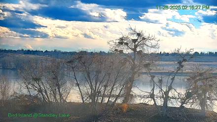 Bird Island Standley Lake Live Webcam - Nov 28, 2025, 2:17pm MST