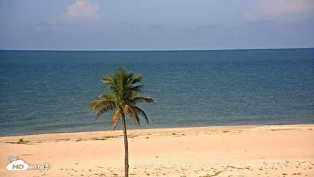 Sanibel Island Flordia Live Webcam - Sep 11, 2026, 9:26am EDT