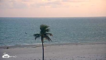 Sanibel Island Flordia Live Webcam - Aug 26, 2026, 7:46pm EDT