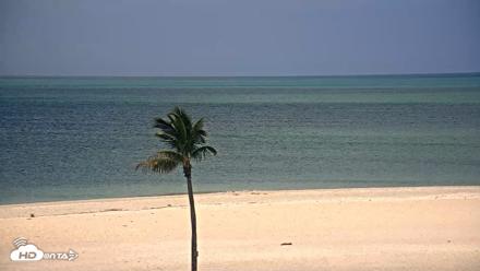Sanibel Island Flordia Live Webcam - Apr 20, 2026, 10:40am EDT