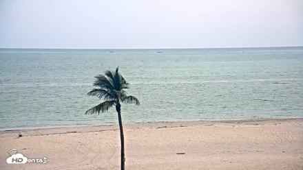 Sanibel Island Flordia Live Webcam - May 16, 2026, 4:24pm EDT