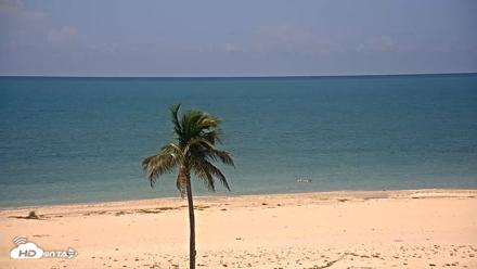 Sanibel Island Flordia Live Webcam - Sep 11, 2026, 12:41pm EDT