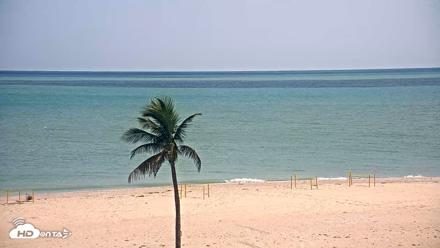 Sanibel Island Flordia Live Webcam - Jun 30, 2026, 4:41pm EDT