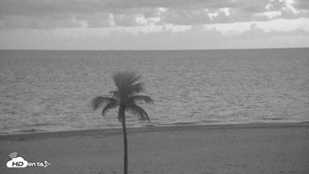 Sanibel Island Flordia Live Webcam - Aug 26, 2026, 8:21pm EDT